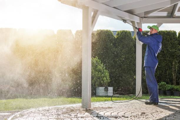 Best Sidewalk and Walkway Cleaning  in Green Island, NY